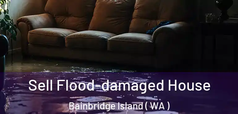  Sell Flood-damaged House Bainbridge Island ( WA )