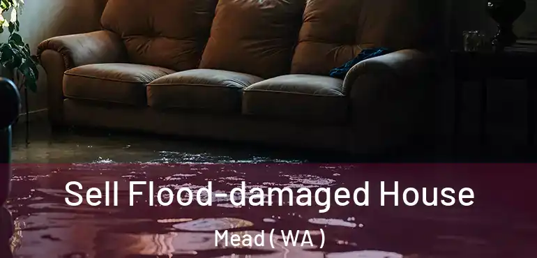  Sell Flood-damaged House Mead ( WA )