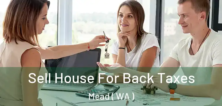  Sell House For Back Taxes Mead ( WA )