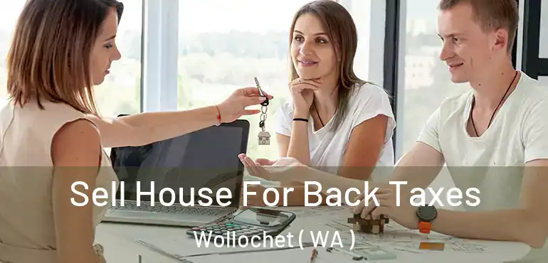  Sell House For Back Taxes Wollochet ( WA )