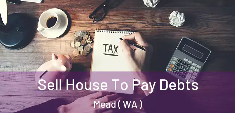  Sell House To Pay Debts Mead ( WA )