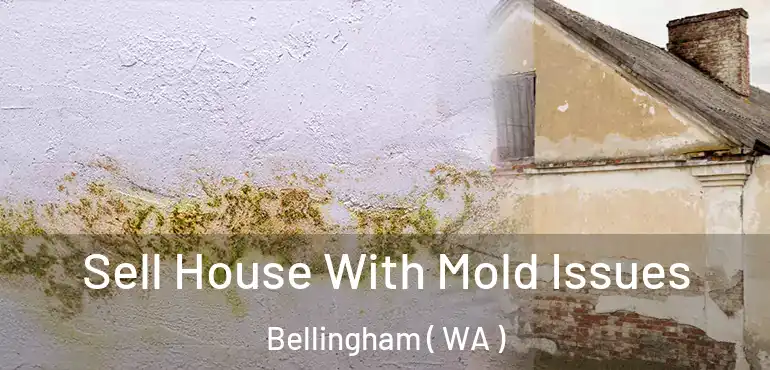  Sell House With Mold Issues Bellingham ( WA )