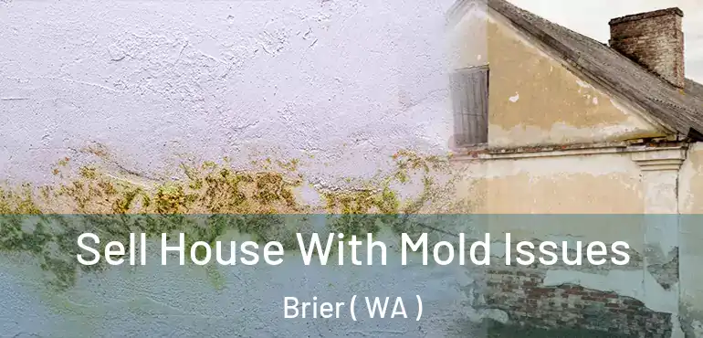  Sell House With Mold Issues Brier ( WA )
