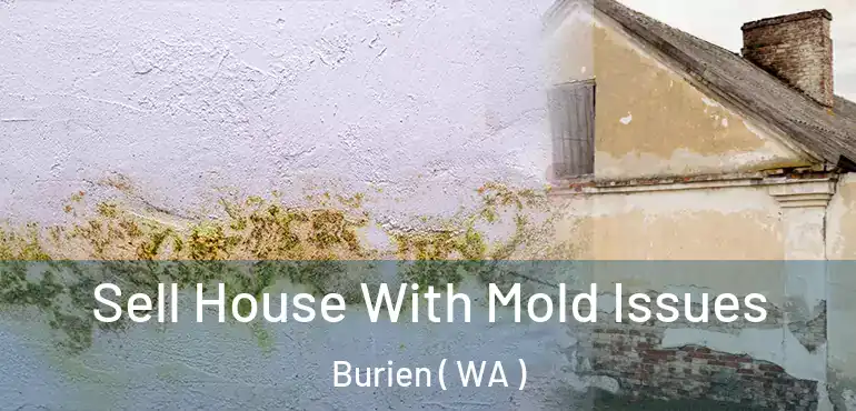  Sell House With Mold Issues Burien ( WA )