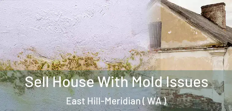  Sell House With Mold Issues East Hill-Meridian ( WA )