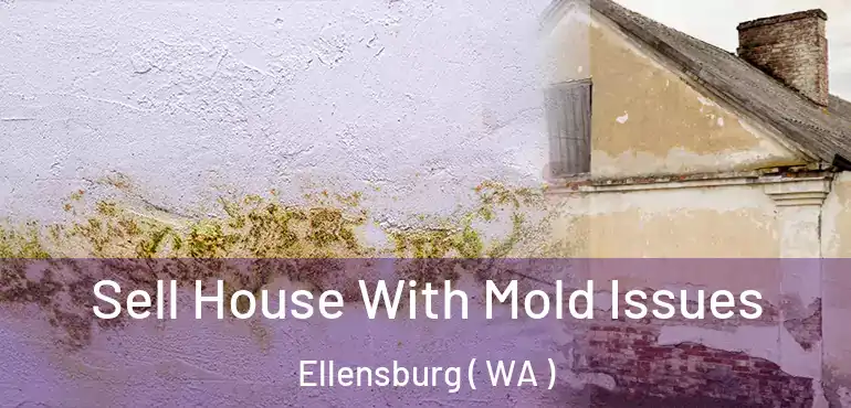  Sell House With Mold Issues Ellensburg ( WA )