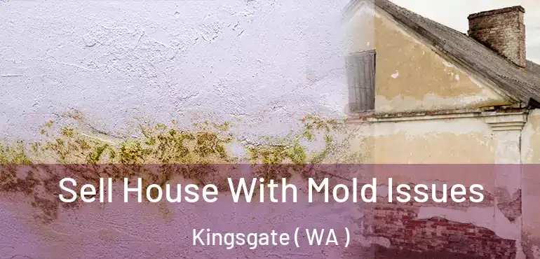  Sell House With Mold Issues Kingsgate ( WA )