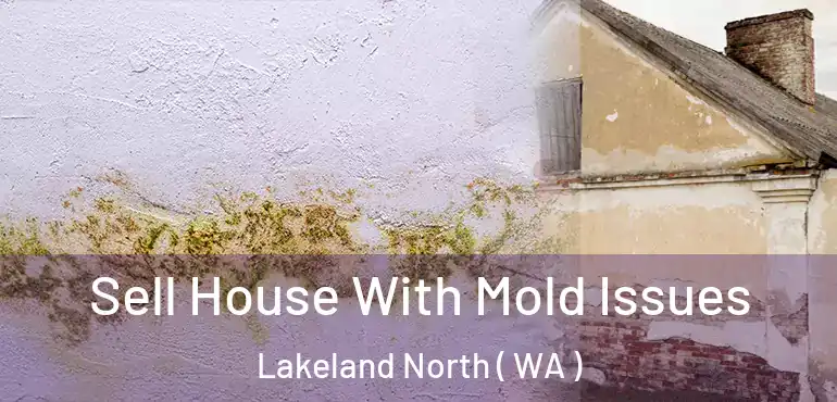  Sell House With Mold Issues Lakeland North ( WA )