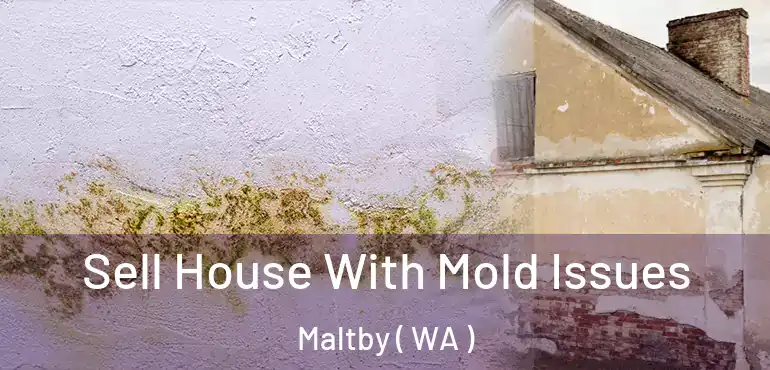  Sell House With Mold Issues Maltby ( WA )