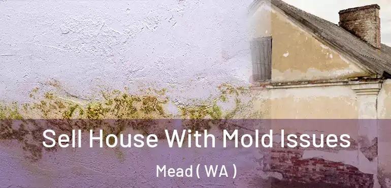  Sell House With Mold Issues Mead ( WA )