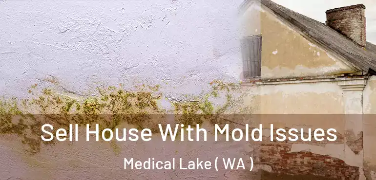  Sell House With Mold Issues Medical Lake ( WA )