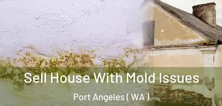  Sell House With Mold Issues Port Angeles ( WA )