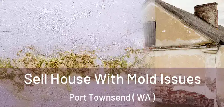  Sell House With Mold Issues Port Townsend ( WA )
