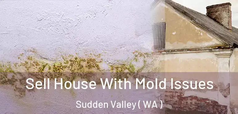  Sell House With Mold Issues Sudden Valley ( WA )