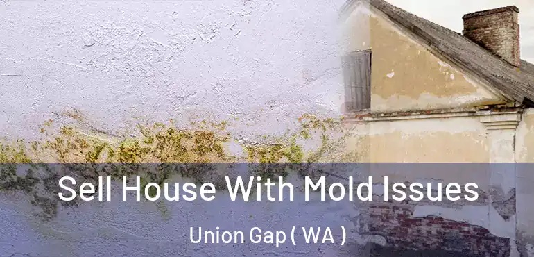  Sell House With Mold Issues Union Gap ( WA )