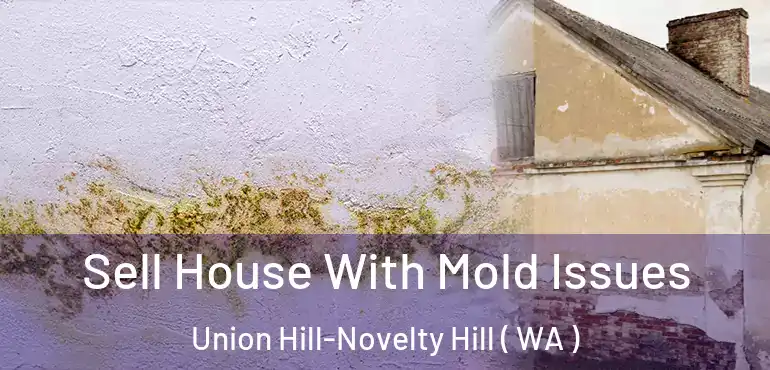  Sell House With Mold Issues Union Hill-Novelty Hill ( WA )
