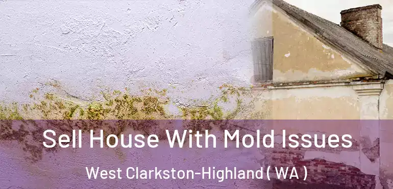  Sell House With Mold Issues West Clarkston-Highland ( WA )