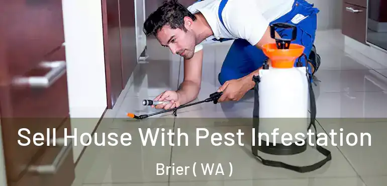  Sell House With Pest Infestation Brier ( WA )