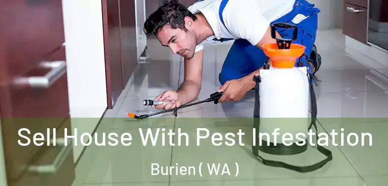  Sell House With Pest Infestation Burien ( WA )
