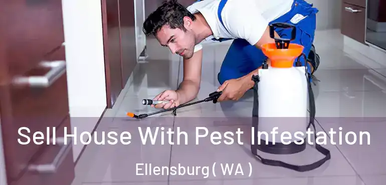  Sell House With Pest Infestation Ellensburg ( WA )