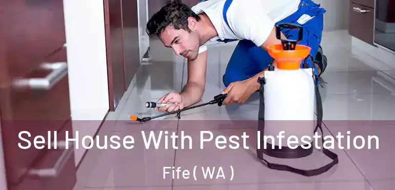  Sell House With Pest Infestation Fife ( WA )